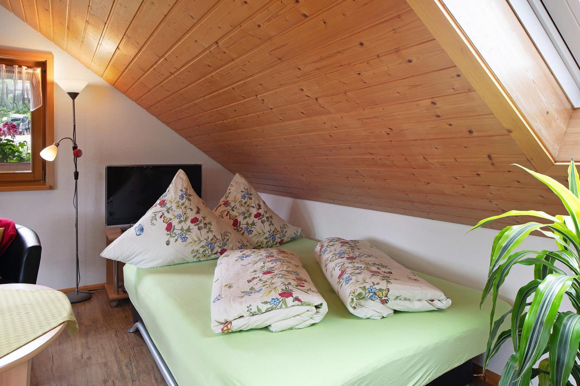 Ferienwohnung Blasi Mit Alpensicht Ibach Exteriér fotografie