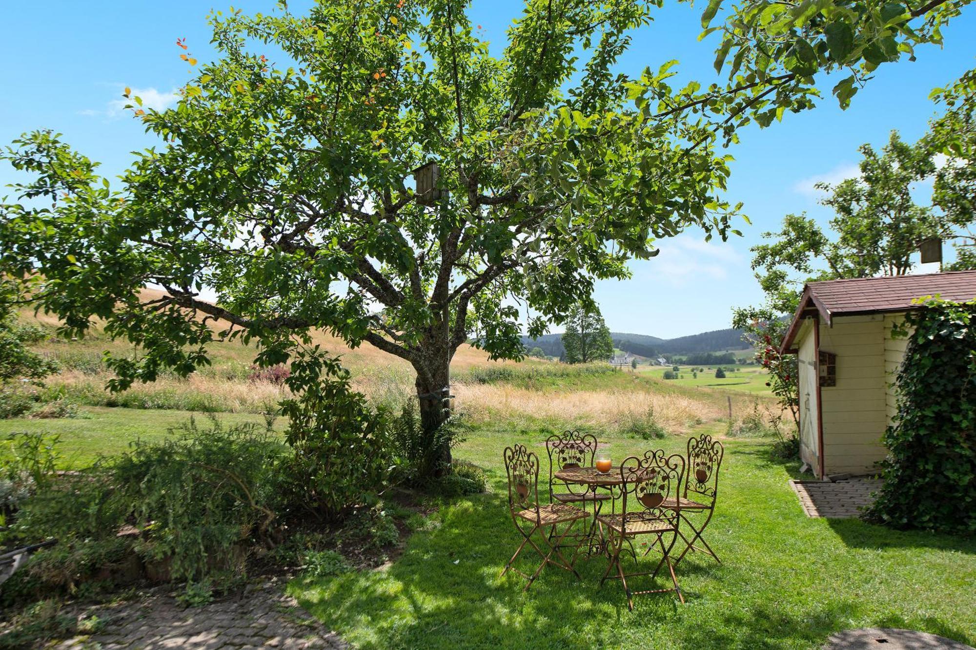 Ferienwohnung Blasi Mit Alpensicht Ibach Exteriér fotografie